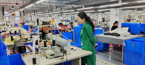 藍山委員提案助推產(chǎn)業(yè)大發(fā)展，央廣網(wǎng)聚焦社會經(jīng)濟咨詢服務(wù)